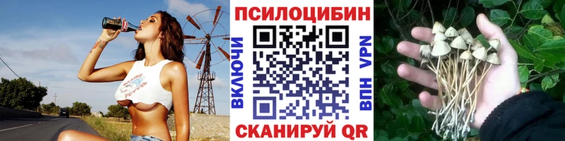 Галлюциногенные грибы мухоморы  закладки  Миньяр 